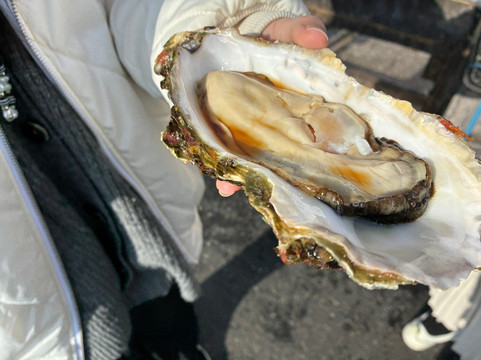 Nakaminato Fish Market-常陆那珂市必去景点