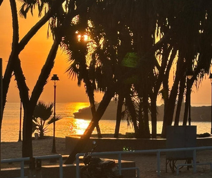 克里希纳海滩度假村主图