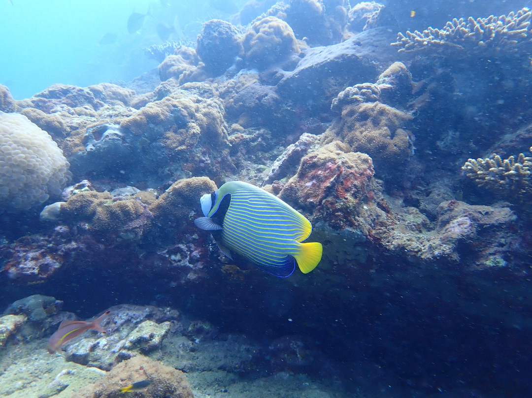 Kalpitiya Diving Center-卡尔皮蒂耶必去景点