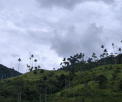 Carbonera Valley Tour-萨伦托必去景点