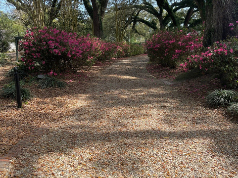 Bragg-Mitchell Mansion-莫比尔必去景点