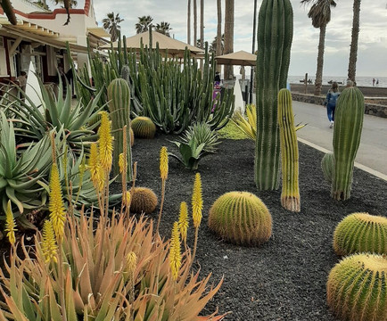 Golf Las Americas-美洲海滩必去景点