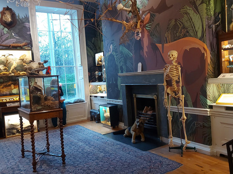 都柏林小型博物馆-都柏林必去景点