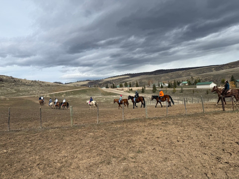 Saddleback Ranch-斯廷博特斯普林斯必去景点