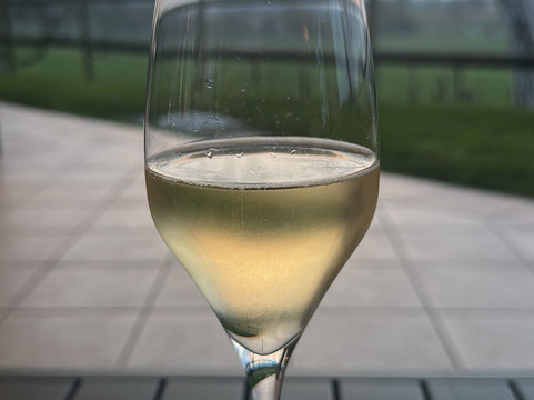 莫斯卡特洛农庄民宿主图