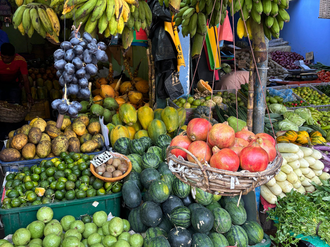Travel Zeylan-科伦坡必去景点