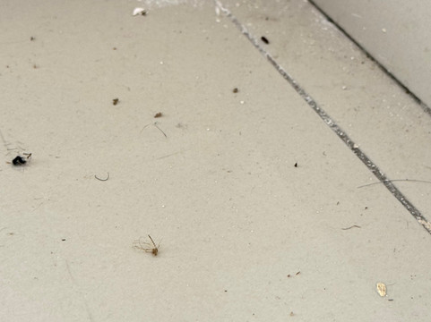 门户宫殿酒店主图