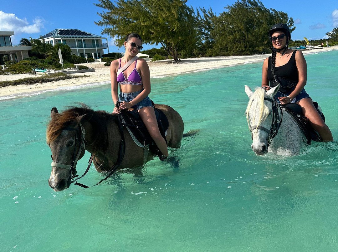 Provo Ponies-Long Bay Hills必去景点