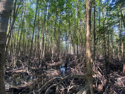 Tung Prong Thong-Ban Pak Nam Krasae必去景点
