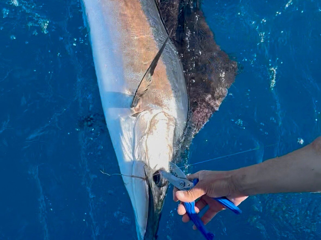 Bud N' Mary's Sportfishing Marina-伊斯拉摩拉达必去景点