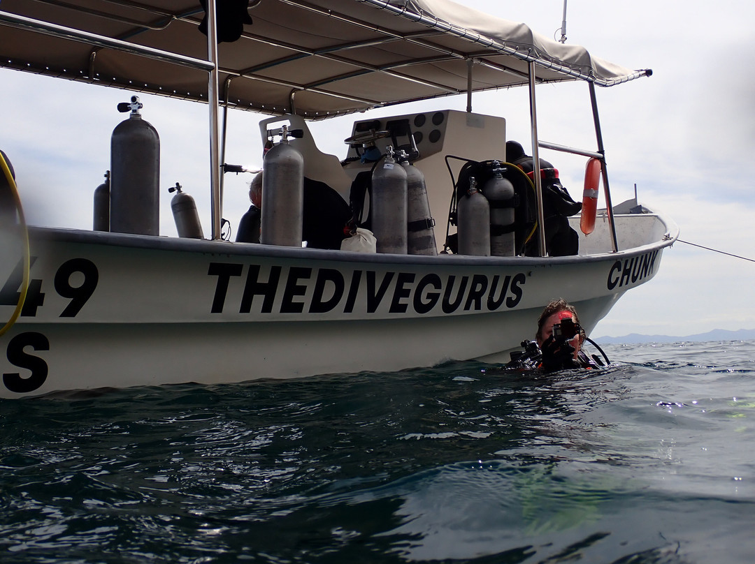 The Dive Gurus-拉巴斯必去景点