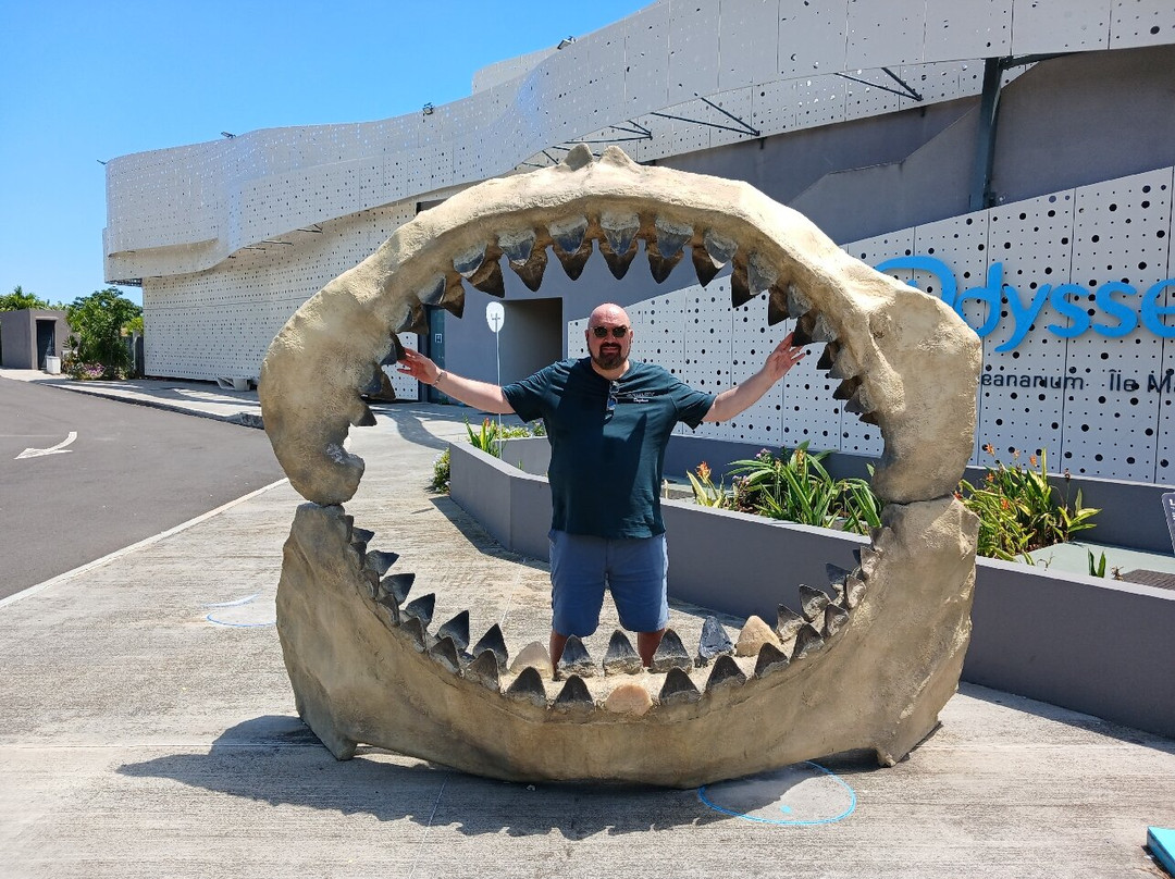 Odysseo Oceanarium Mauritius-路易士港必去景点