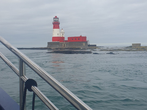 Billy Shiel's Boat Trips-Seahouses必去景点