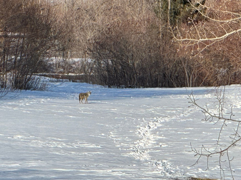 科布尔斯通酒店及套房 - 阿什兰主图