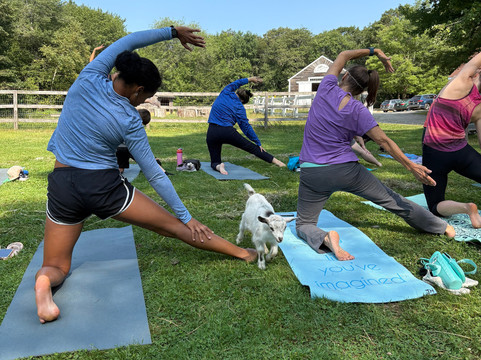 Sunflower Farm Creamery-Cumberland Center必去景点