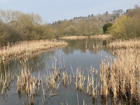 The Walton Hall Spa & Leisure Club-Wellesbourne必去景点