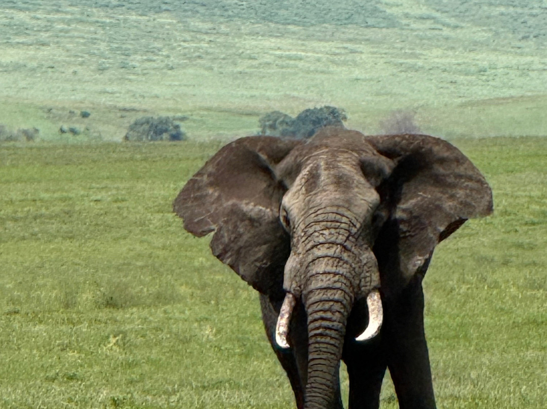 Tanzania-Experience-阿鲁沙必去景点
