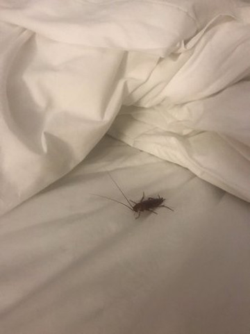 比弗大坝速8酒店主图