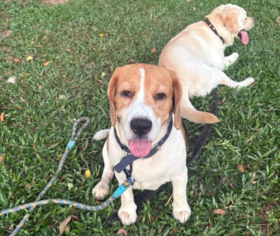 鲁斯特河度假村主图