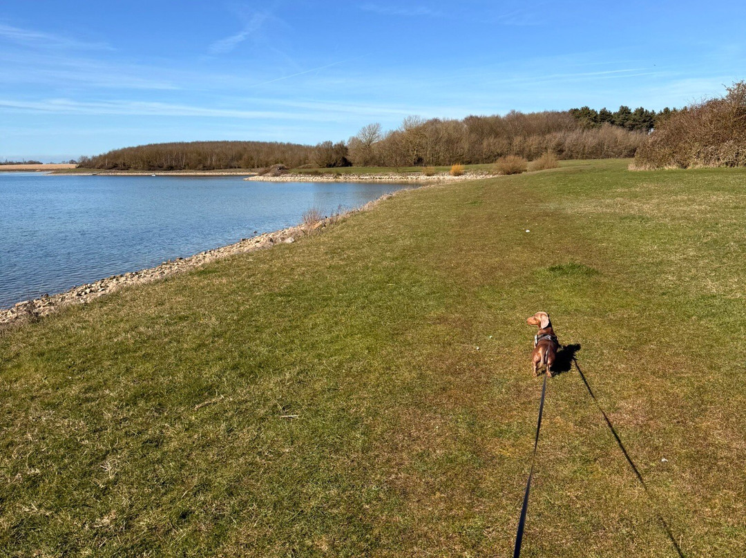 Grafham Water Centre-亨廷顿必去景点