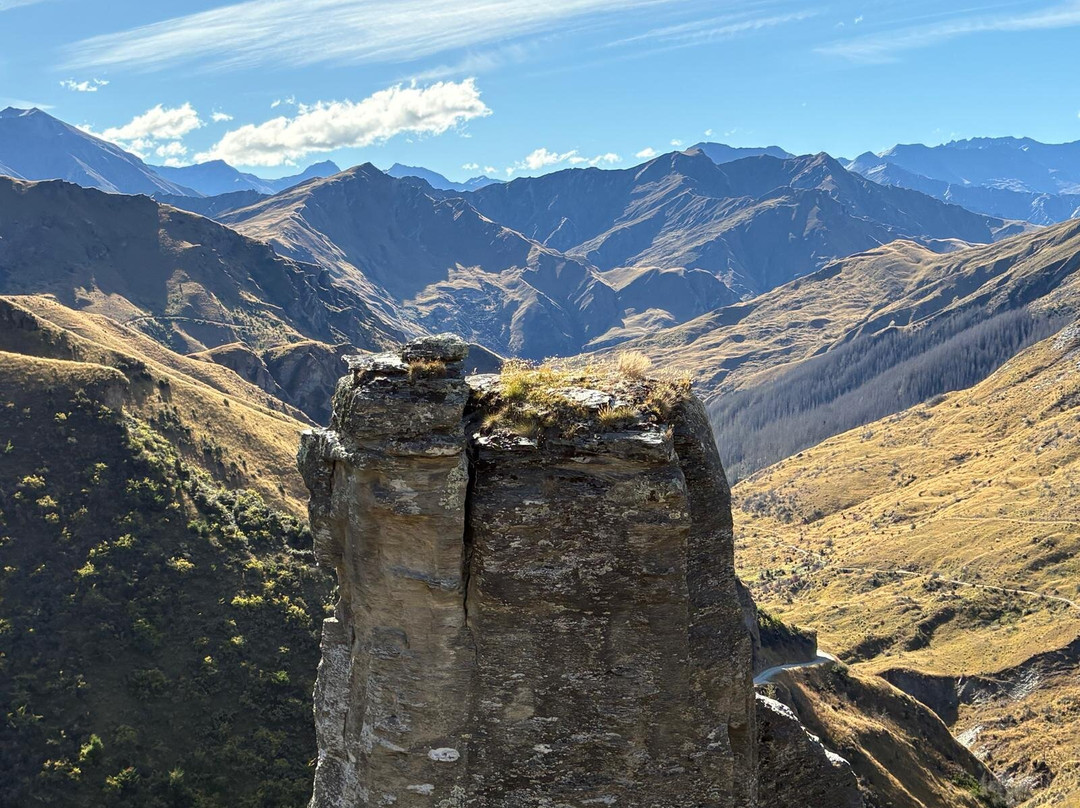 Red Carpet Tours-奥克兰中心地区必去景点