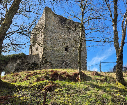 Dunollie Museum, Castle and Grounds-奥本必去景点