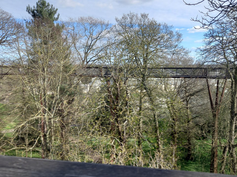 Treetop Walkway-Richmond必去景点