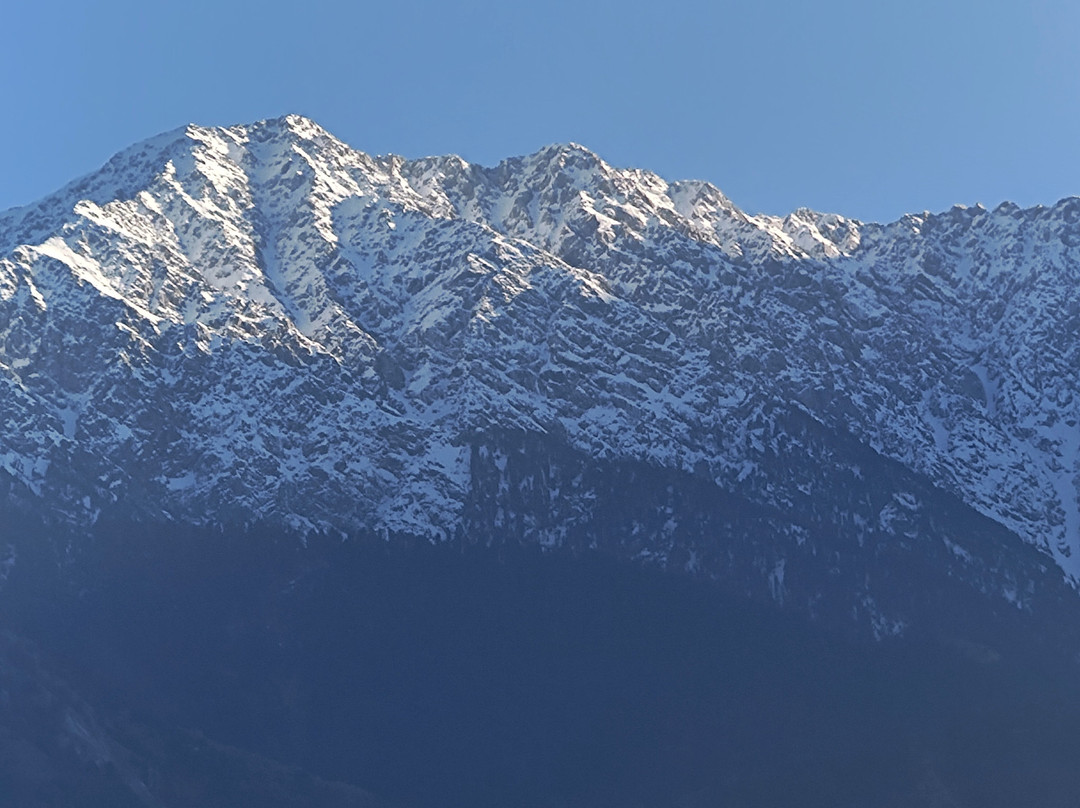 麦克洛冈的柠檬树酒店主图