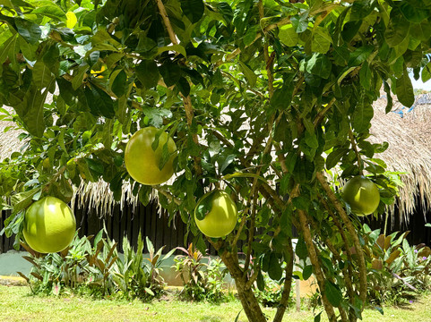 迪佳美隆迪卡洛奇提库纳酒店主图