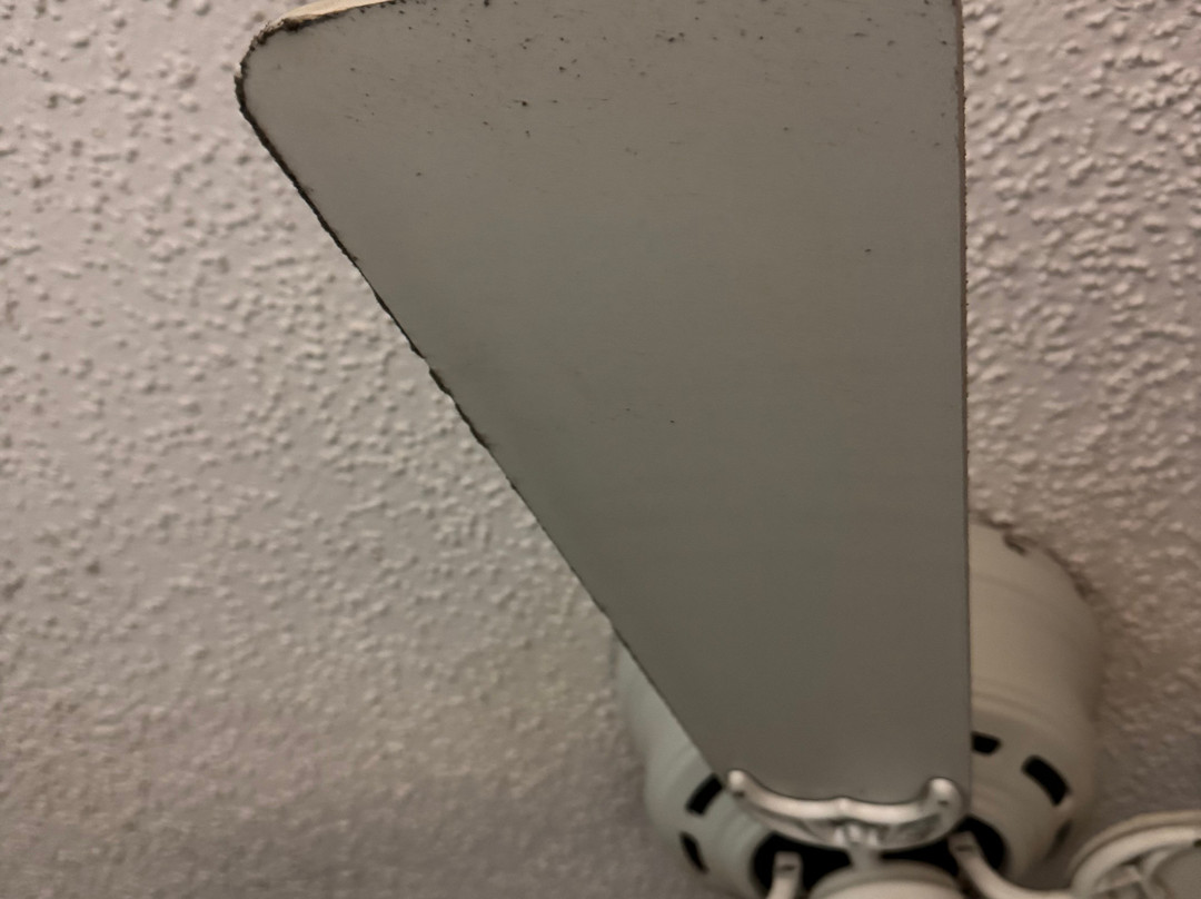 北奥兰多/桑福德万豪SpringHill酒店主图