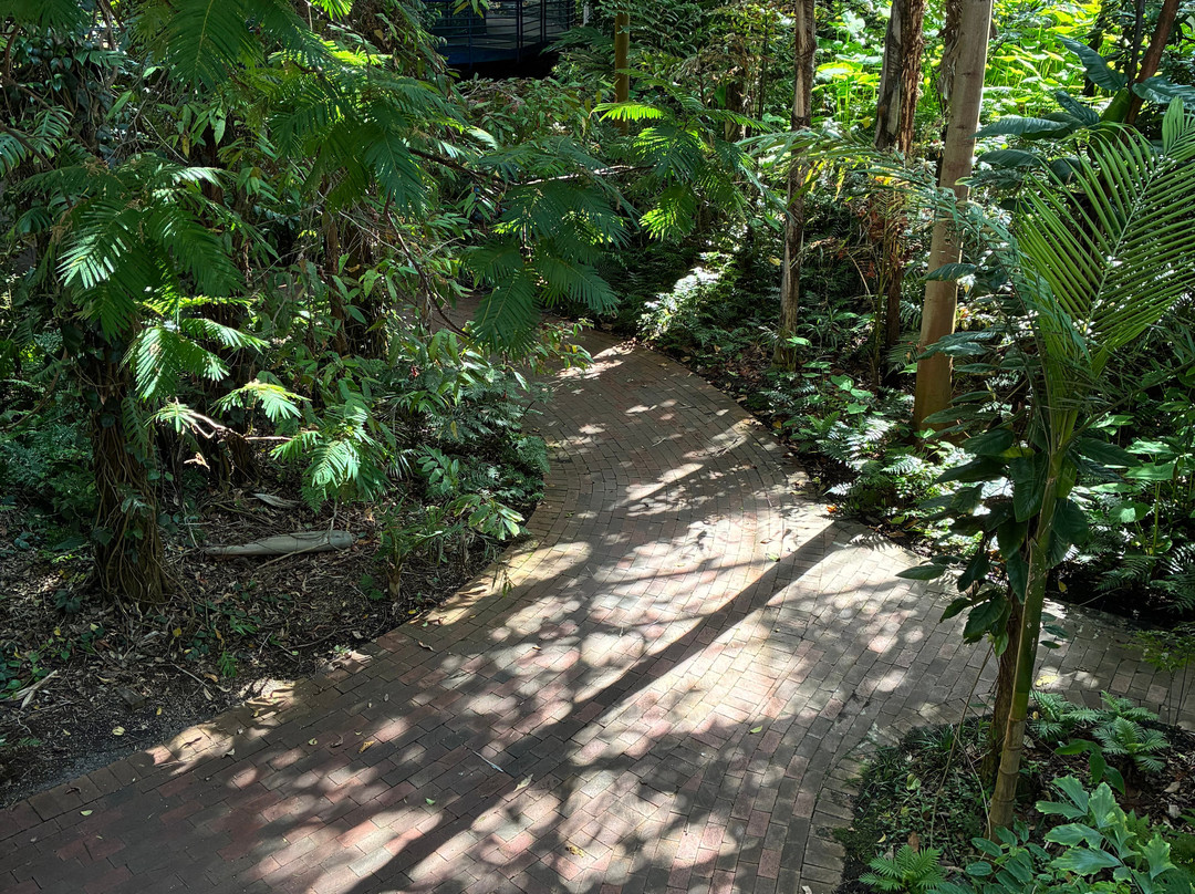 Bicentennial Conservatory-阿德莱德必去景点