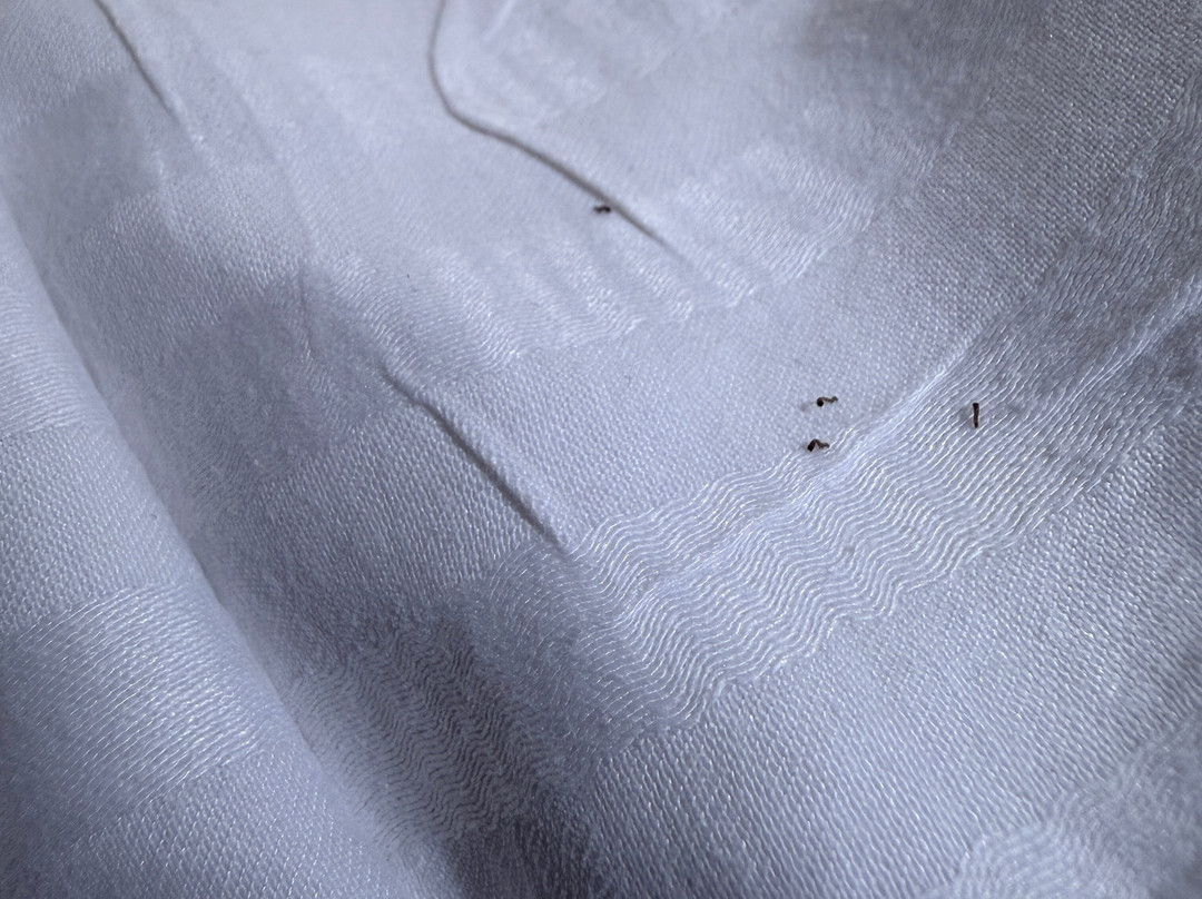 圣皮耶尔酒店主图