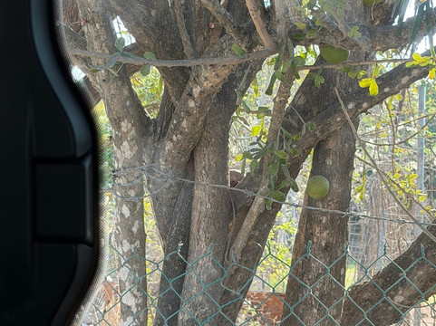 Vallarta Adventures-新瓦雅塔必去景点