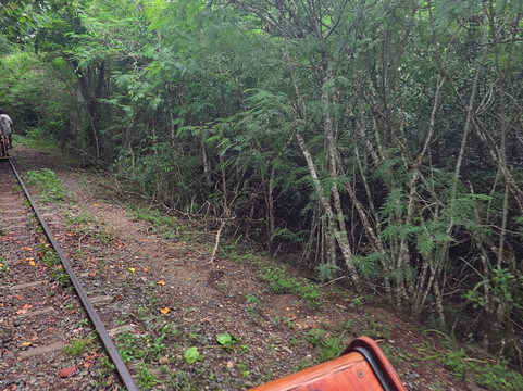 Ecotrax Fiji-辛加东卡必去景点