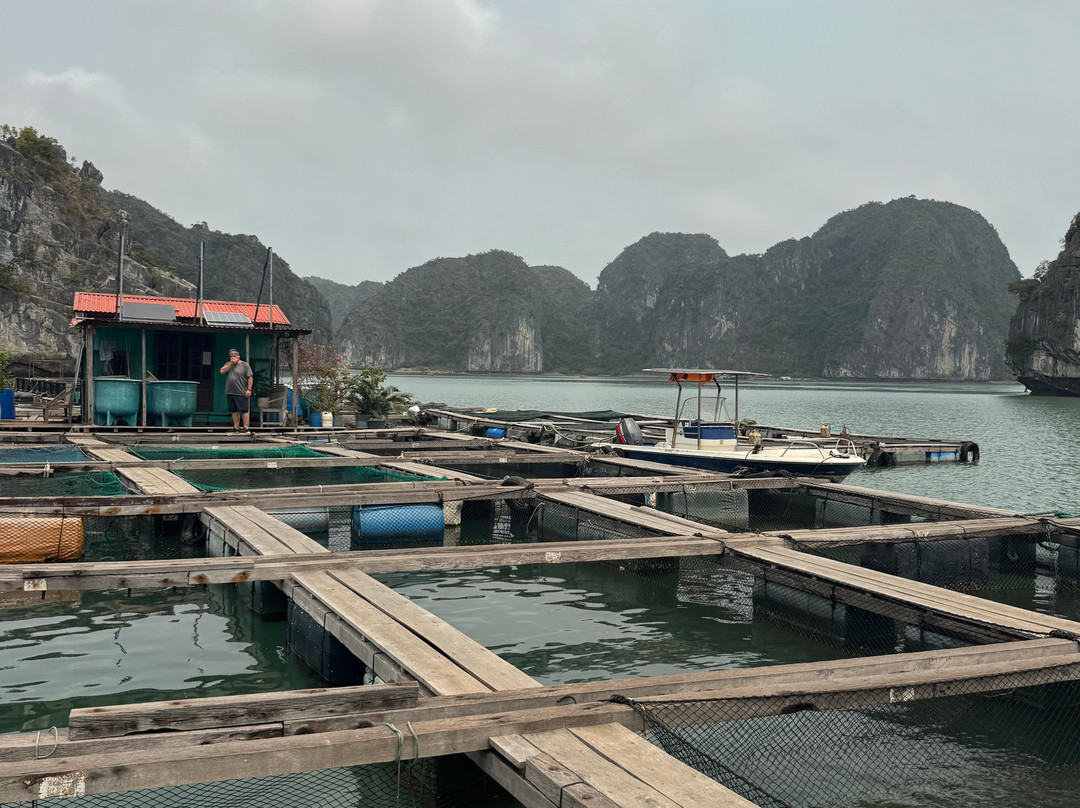 Cat Ba Smile Tours-卡巴必去景点