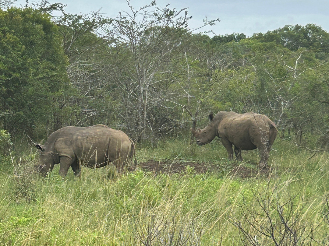 EuroZulu Guided Tours & Safaris-圣露西亚必去景点