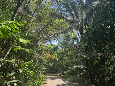 Panama Road Trips-巴拿马城必去景点