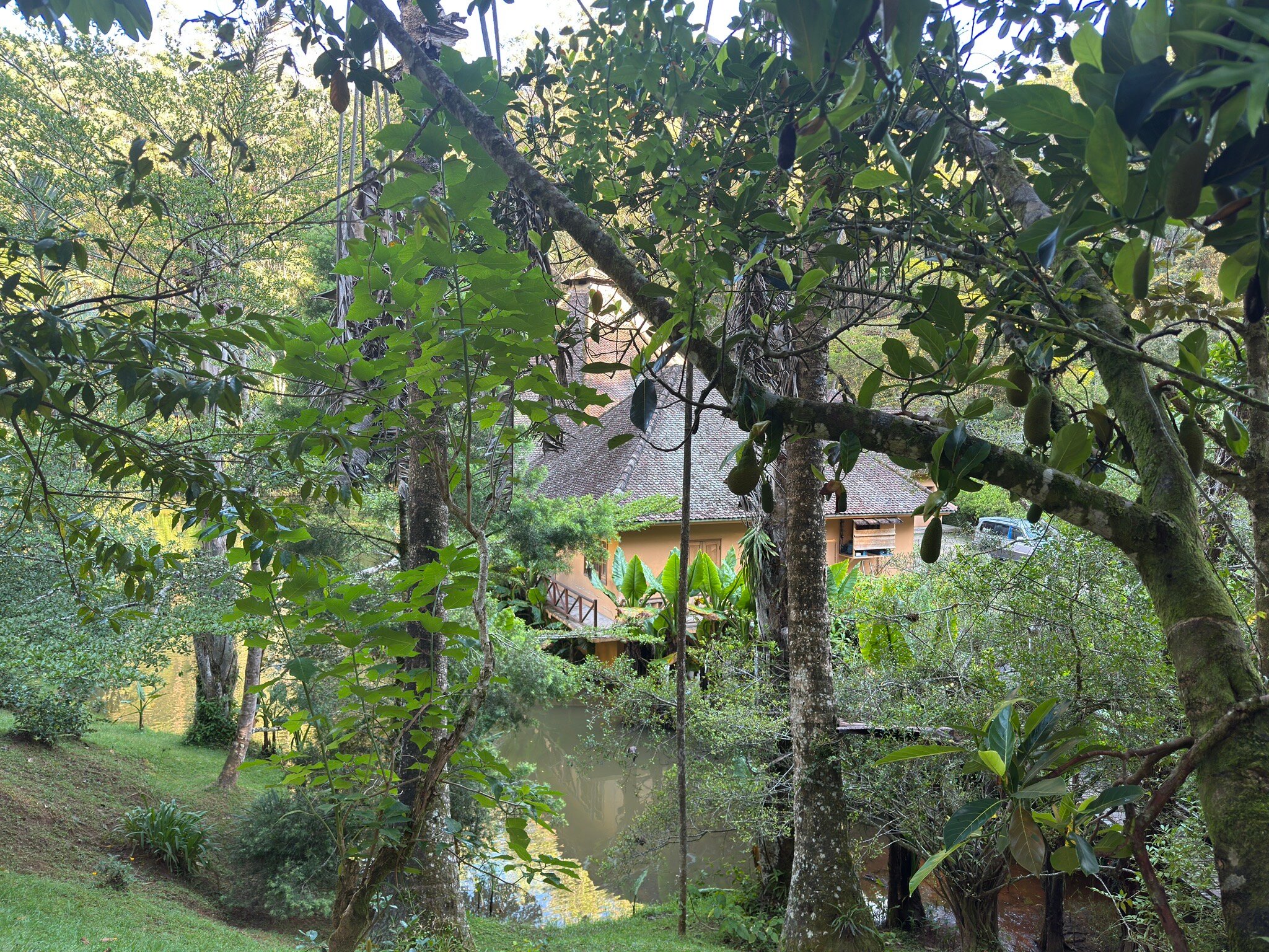 Vakona Forest Lodge-官方