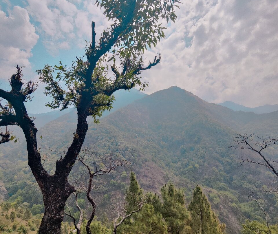 坡贡特胜地主图