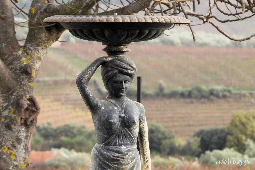 Quinta de Avessada-Favaios必去景点