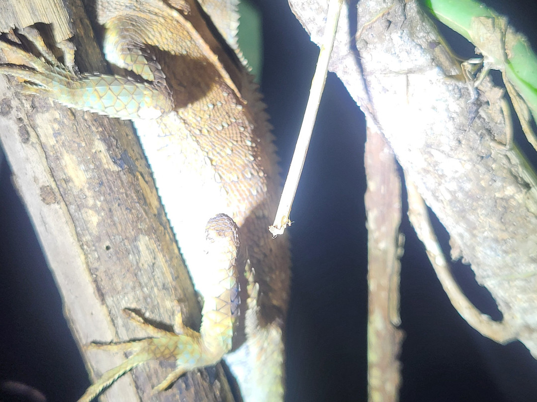 Santa Lucia Falls-乌维塔必去景点