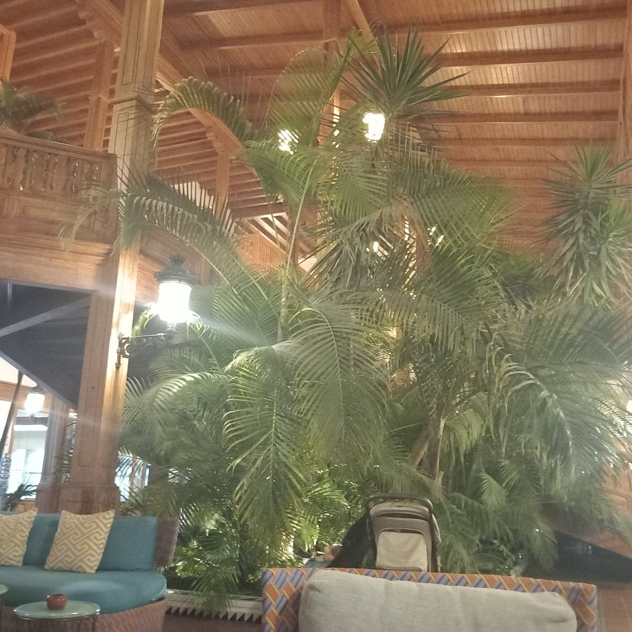 海边加美欧斯住宿-官方