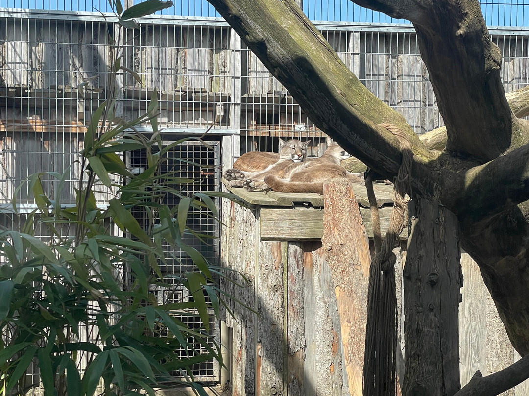 Krokodille Zoo-Eskilstrup必去景点