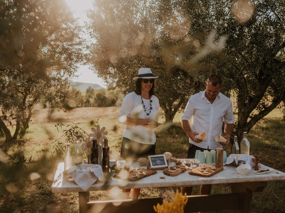 Olive Oil Tasting Experience A Journey of Flavors and Aromas