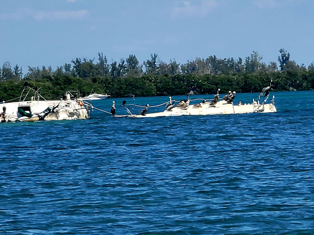 Island Boat Tours & Adventures-Bradenton Beach必去景点