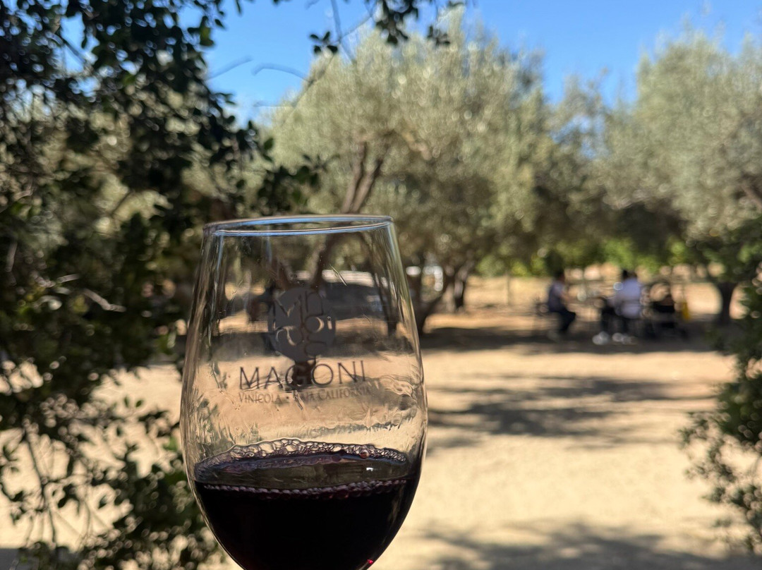 Baja California Wine Tours-圣地亚哥必去景点