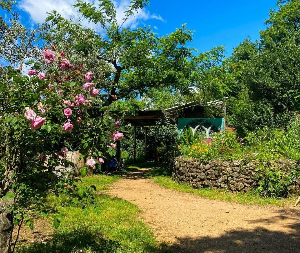 Dortoir Dans La Nature