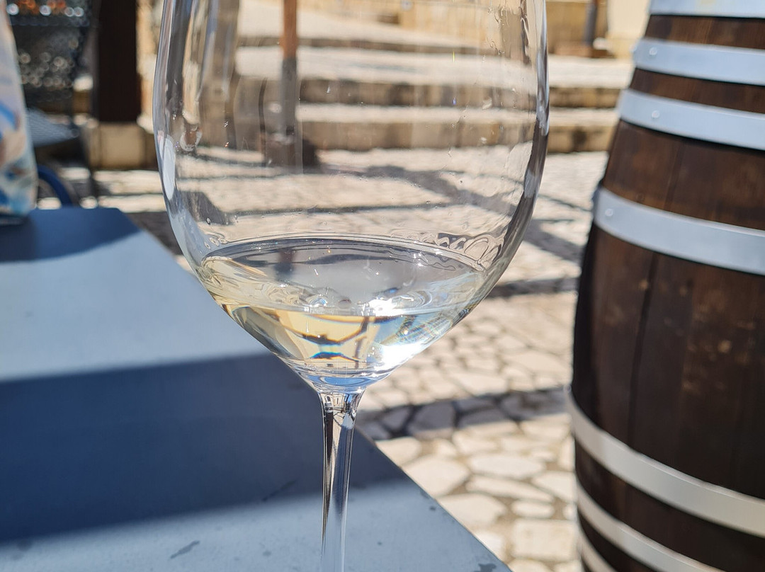 瑞莱斯托雷马拉比诺酒店主图