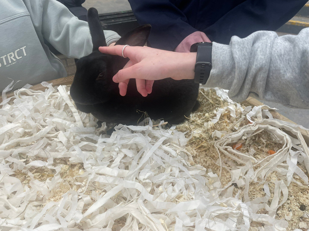 Greenmeadow Community Farm-Cwmbran必去景点