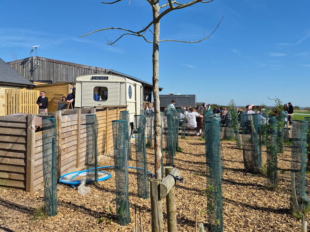 Diddly Squat Farm Shop-奇平诺顿必去景点